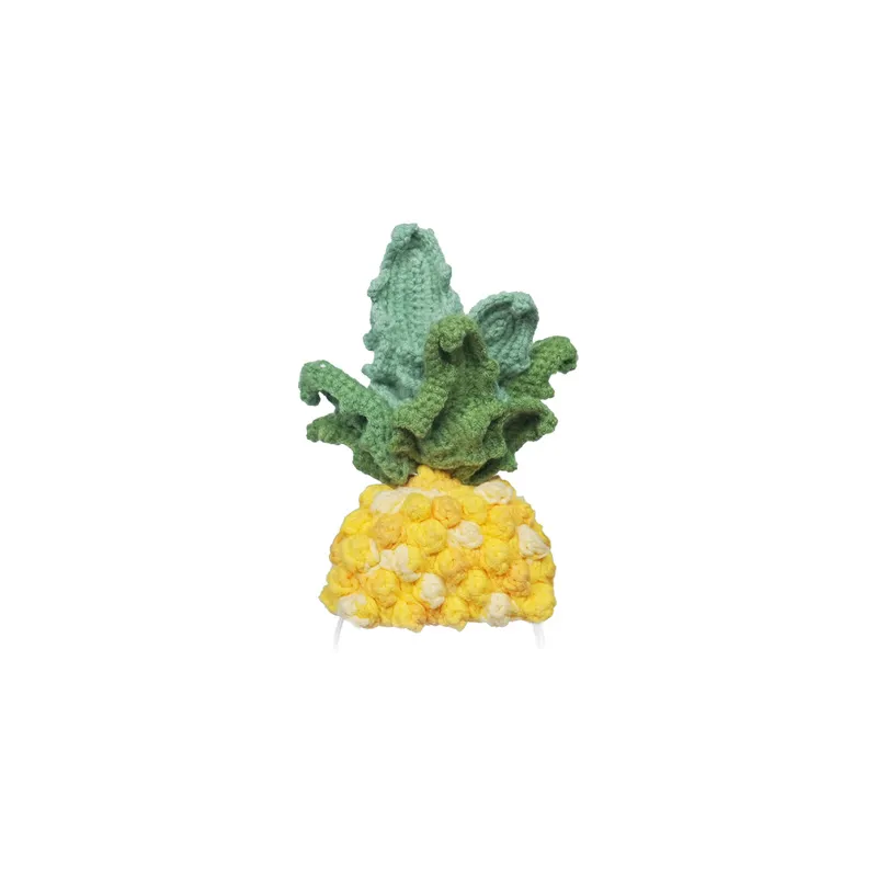 Knitted costume for Loona Premium Pineapple